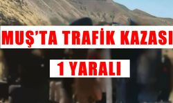 Muş Şenyayla’da kamyonet devrildi: 1 yaralı