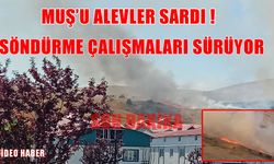 Muş Bayrak Tepe'de anız yangını!
