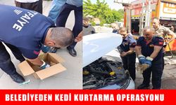 Muş’ta itfaiyeden kedi kurtarma operasyonu
