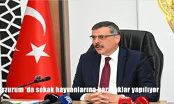 Erzurum Valisi Mustafa Çiftçi: “Sokak Hayvanları Konusunda Geri Adım Yok”