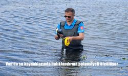 Van’da Su Kaynakları Balıklandırma İçin Tarandı: Çaldıran ve Başkale’de Ekolojik İnceleme Başladı