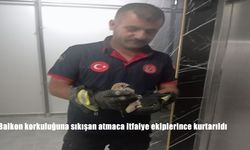 Batman’da Balkon Korkuluğuna Sıkışan Atmaca, İtfaiye Tarafından Kurtarıldı