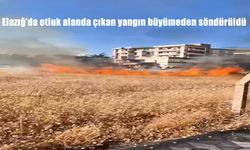 Elazığ Ataşehir Mahallesi’nde Otluk Alanda Çıkan Yangın Kısa Sürede Söndürüldü