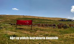 Ağrı Sokakları Ay Yıldızla Kırmızıya Büründü: Cumhurbaşkanı’nın Bayrak Çağrısı Karşılık Buldu