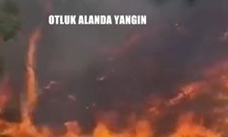 Tunceli’de Otluk ve Meşelik Alanda Yangın: 30 Dönüm Alan Kül Oldu