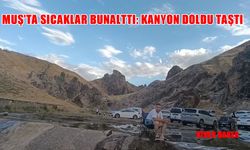 Muş’ta sıcaktan bunalan Kızılağaç Kanyonu'na koşuyor