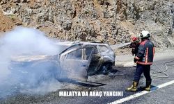 Alevler Yol Üzerinde Panik Yarattı: Malatya-Çelikhan Karayolunda Araç Yangını