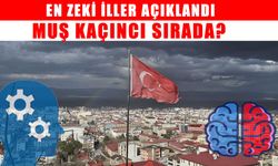 Türkiye’nin en zeki şehirleri açıklandı: Muş kaçıncı sırada?