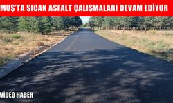Muş İl Özel İdaresi’nden üç okulun yoluna sıcak asfalt
