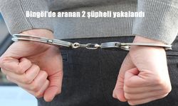Bingöl’de Aranan İki Şüpheli Jandarma Operasyonuyla Yakalandı