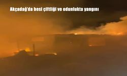 Malatya Akçadağ’da Besi Çiftliği ve Odunlukta Çıkan Yangın Korkuttu