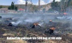 Tarım Arazisinde Başlayan Yangın, Rüzgarla Büyüdü