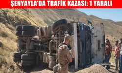 Muş Şenyayla’da kamyonet devrildi: 1 yaralı