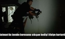 Batman Fatih Mahallesi’nde Lavabo Borusuna Sıkışan Kedi İtfaiye Ekiplerince Kurtarıldı