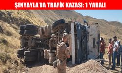 Muş Şenyayla’da kamyonet devrildi: 1 yaralı