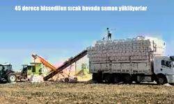 Diyarbakır Ovası’nda 45 Derece Sıcakta Saman Mesaisi: Emek, Ter ve Ekmek Mücadelesi