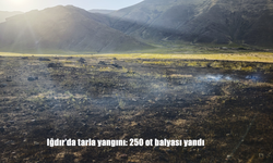 Iğdır’da Tarla Yangını Paniğe Neden Oldu: 250 Ot Balyası Kül Oldu