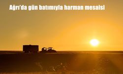 Ağrı Yakınca Köyü’nde Gün Batımında Hasat Mesaisi Başladı