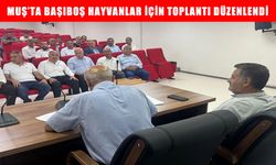 Muş İl Özel İdaresi yetkililerinden başıboş hayvan sorununu çözmek için önemli adım