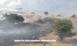 Kalealtı Mezarlığı Civarında Anız Yangını Paniğe Neden Oldu