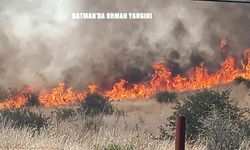 Batman’ın Sason İlçesinde Orman Yangını Paniğe Neden Oldu: Köylüler ve Jandarma Söndürme Çalışmalarına Katıldı