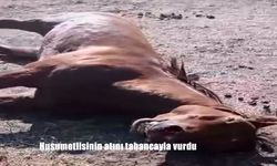 Ağrı’da Şok Olay: Husumetlisinin Atını Tabancayla Vurarak Öldürdü