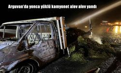 Malatya Arguvan’da Yonca Yüklü Kamyonet Alevlere Teslim Oldu!