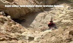 Hakkari’de Dağda Mahsur Kalan 7 Koyun 5 Saatlik Operasyonla Kurtarıldı