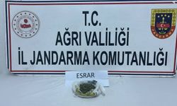 Ağrı’da Uyuşturucuya Geçit Yok: Patnos ve Doğubayazıt’ta Zehir Tacirlerine Darbe