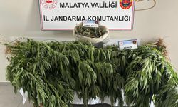 Malatya’da Jandarmadan Uyuşturucuya Geçit Yok: Yeşilyurt’ta Kenevir ve Esrar Ele Geçirildi