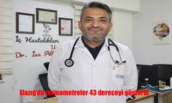 Elazığ'da en sıcak gününü yaşadı: Termometreler 43 dereceyi gösterdi