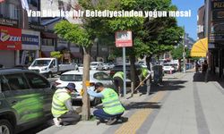 Van Büyükşehir Belediyesinden yeşil alanlarda yoğun mesai
