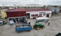 Diyadin’de Kurulan Modern Un Tesisi Bölge Ekonomisine Güç Katıyor