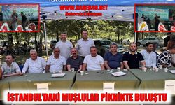 İstanbul’da yaşayan Muşlular piknikte buluştu