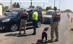Van’da Aranan 20 Şüpheli Jandarma Operasyonlarıyla Tutuklandı