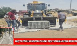 Muş’ta köy yolları parke taşlarıyla kaplanıyor