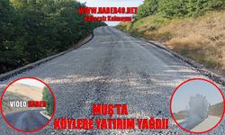 Varto köy yollarında çile bitiyor!