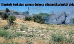Elazığ Keban’da Çıkan Yangın Korkuttu