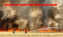 Elazığ Yazıkonak'ta Korkutan Arazi Yangını: Hububat Tarlaları Kül Oldu