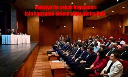 Malatya’da sokak hayvanları için kapsamlı önlem planı görüşüldü