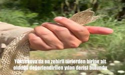 Doğa Gözlemcisi Ümit Bartın’dan Yüksekova’da Eşsiz Keşif