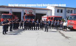 Hatay’daki orman yangınına Elazığ Belediyesinden destek
