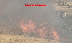 Tatvan’da Aniden Başlayan Örtü Yangını Kısa Sürede Büyüdü
