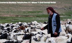Erzurum'da Küçükbaş Yetiştiricilere 127,7 Milyon TL Kredi Desteği Verildi