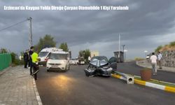 Erzincan'da Kaygan Yolda Direğe Çarpan Otomobilde 1 Kişi Yaralandı