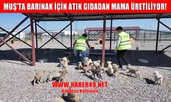 Muş’ta atık gıdalar sokak hayvanları için mamaya dönüşüyor