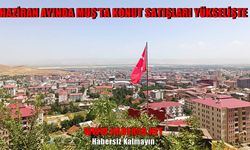 Muş’ta konut piyasası hareketlendi