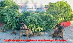 Jandarmadan Zehir Tacirlerine Nokta Operasyon