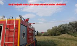 Elazığ Kovancılar’da Ağaçlık Alanda Yangın Paniği
