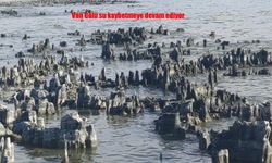 Van Gölü Çekilmeye devam ediyor
